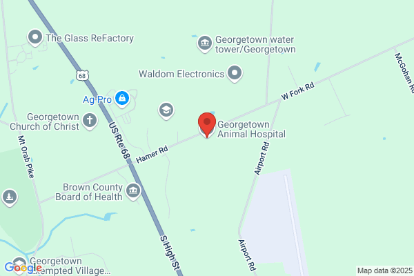 Georgetown Animal Hospital