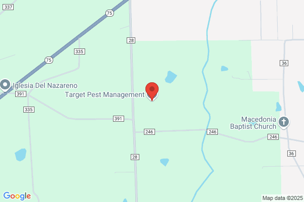 Laser Pest Control