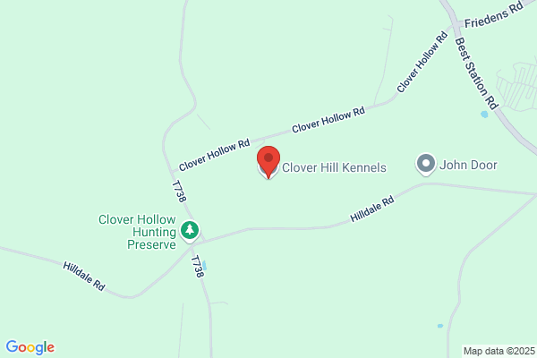 Longview Kennels