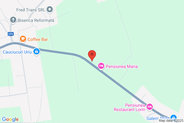 Ronald Trans Services
