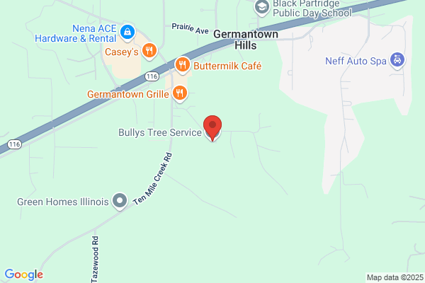 Bully's Tree Service