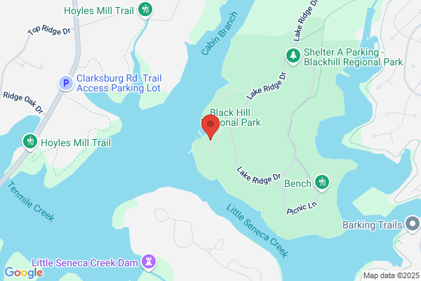 Black Hill Boats