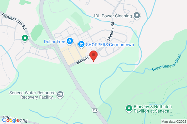 Cathys Maltese