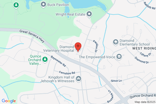 Diamond Veterinary Hospital