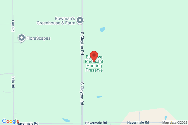 Buckeye Pheasant Hunting Preserve