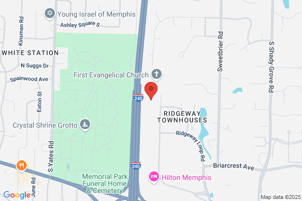 Karla Fayne Team