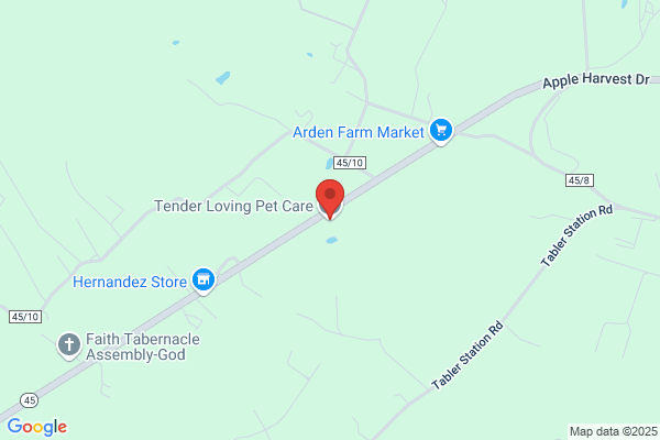 Tender Loving Pet Care