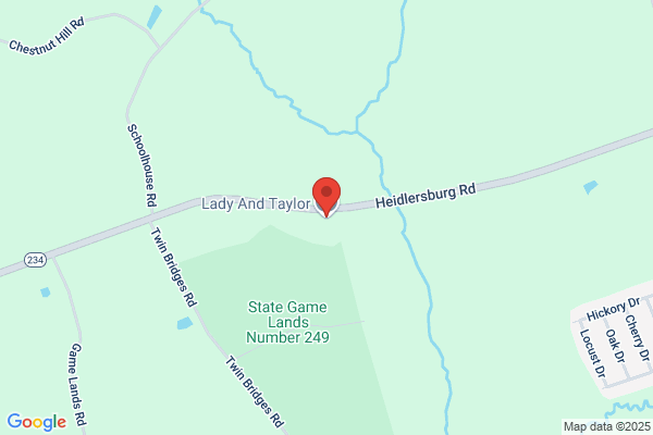 Lady And Taylor Inc
