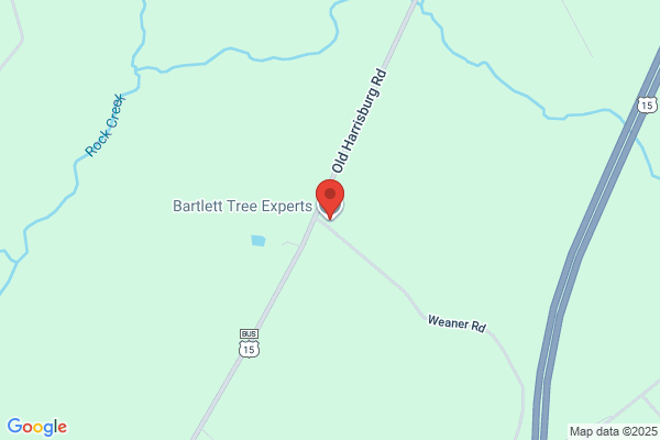 Blevins Expert Tree Care, LLC