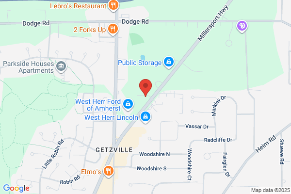 LIFE ARBORIST TREE SERVICES & STUMP GRINDING