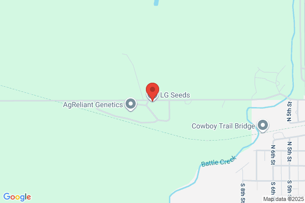 Lg Seeds