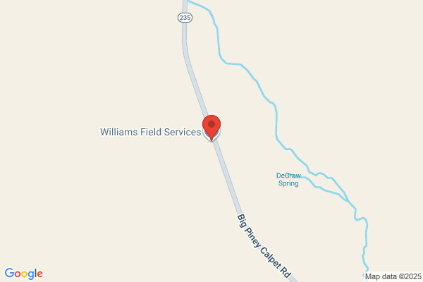 Williams Field Services