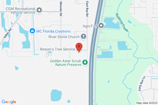 beavers tree service