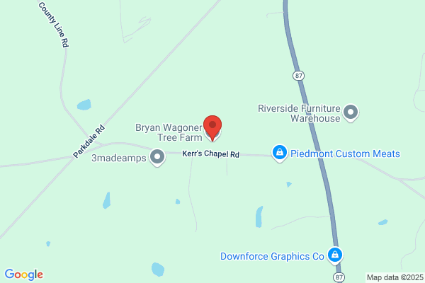 Bryan Wagoner Tree Farm
