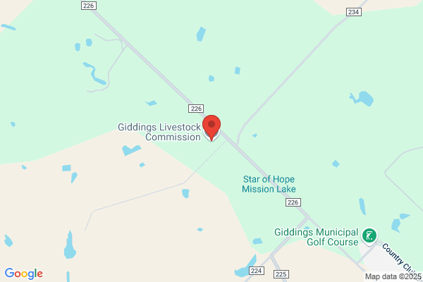 Giddings Livestock Commission Co
