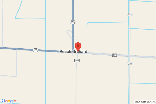 Peach Orchard Gin Co Inc