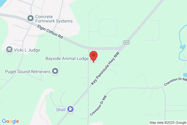 Bayside Animal Lodge LTD