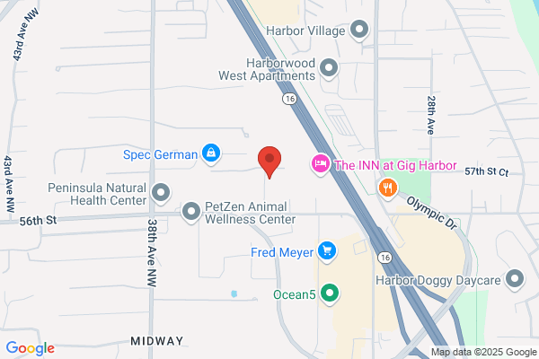 CPR Cell Phone Repair Gig Harbor