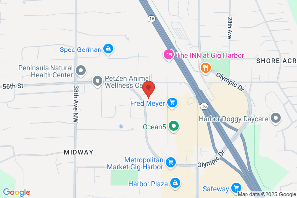 Scott Fisher at CrossCountry Mortgage, LLC