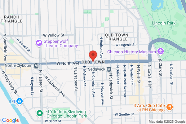 Chicagos Old Neighborhood