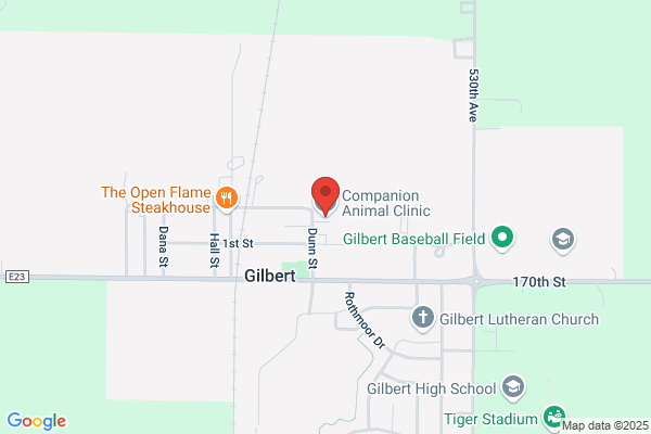 Companion Animal Clinic