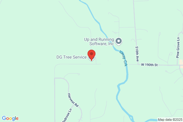 DG Tree Service