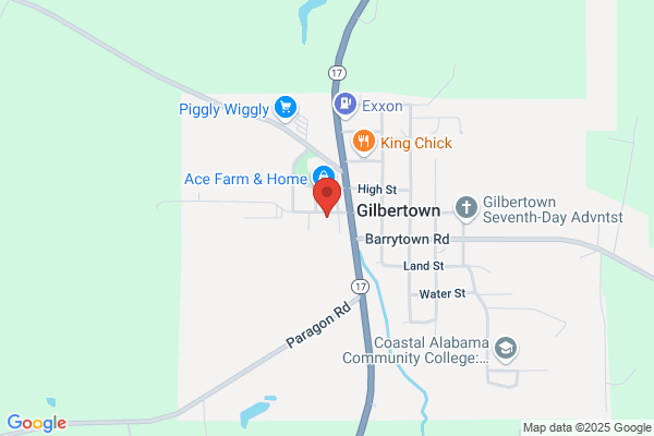 Gilbertown Video Shop
