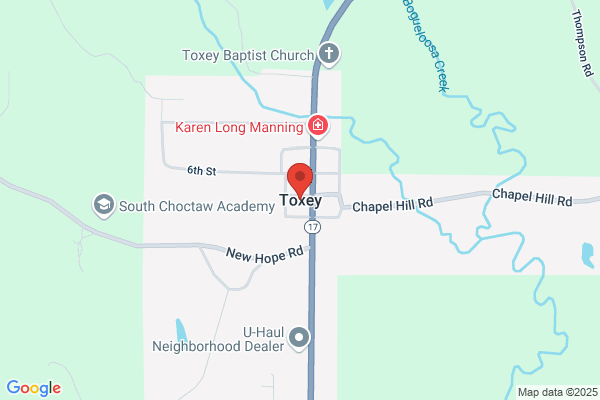 Toxey Town of