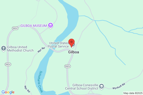 Town of Gilboa, Town Court