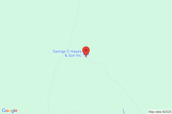 Hayes George O & Son