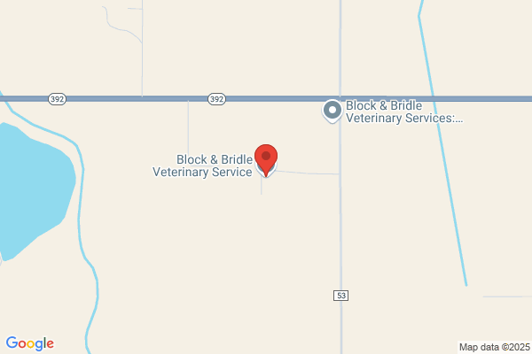 Block & Bridle Veterinary Service