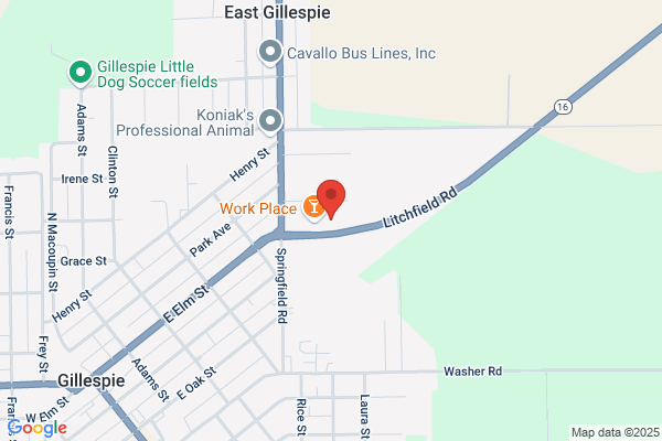 ApexNetwork Physical Therapy