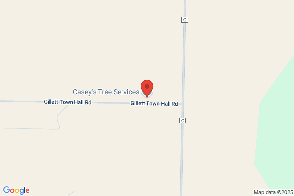 Casey's Tree Service