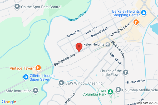 Mobile Snowblower & Lawnmower Service