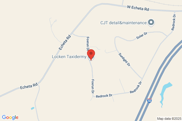 Locken Taxidermy
