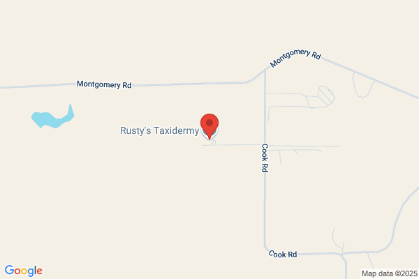 Trophy Taxidermy