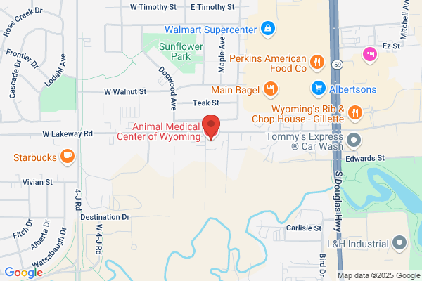 Rachel Young - Animal Medical Center of Wyoming