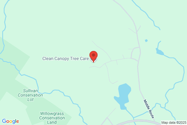 New England Tree Transplanting