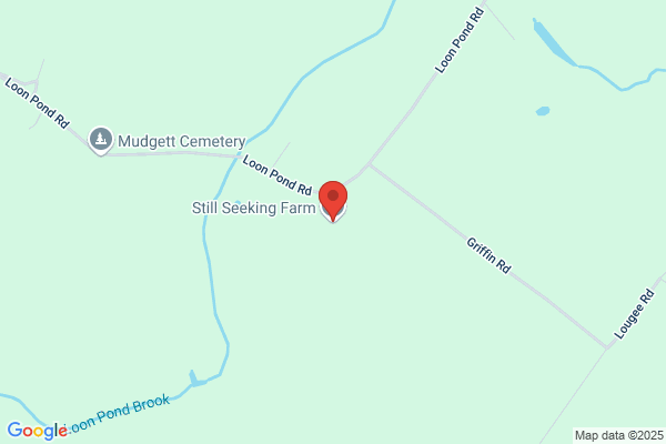 Gilmanton Bookworm Llc