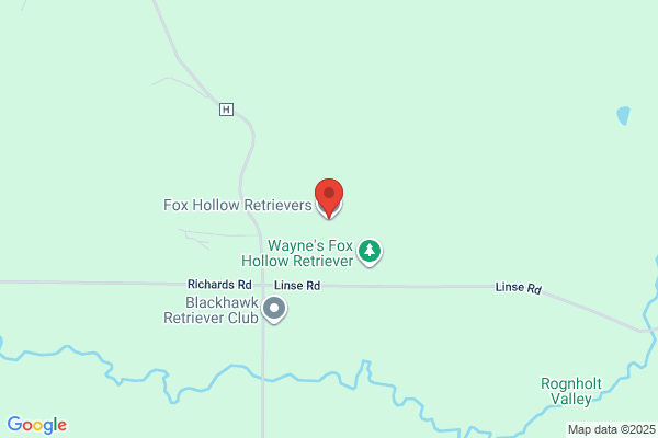 Fox Hollow Kennels