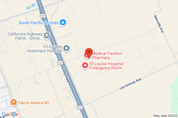 Doctor Services