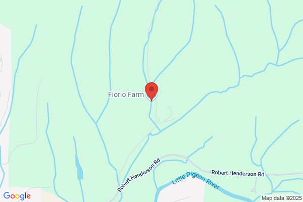 Fiorio Farms Inc