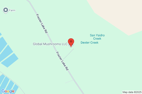 Global Mushrooms
