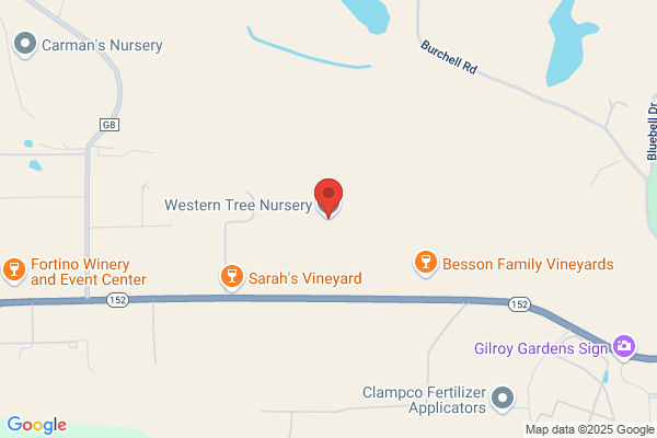 Western Tree Nursery