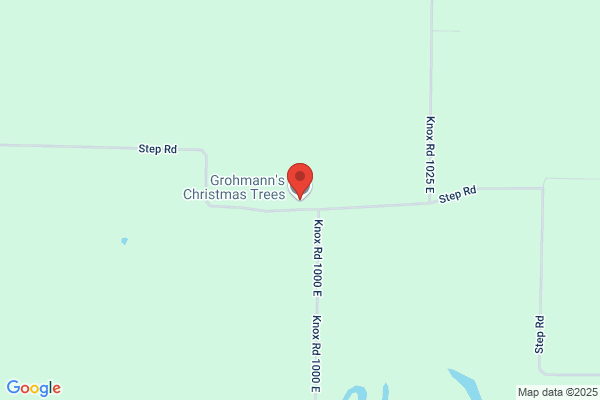 Grohmann's Christmas Trees