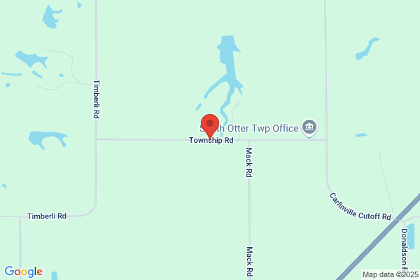 South Otter Township