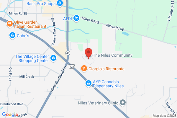 The Niles Community