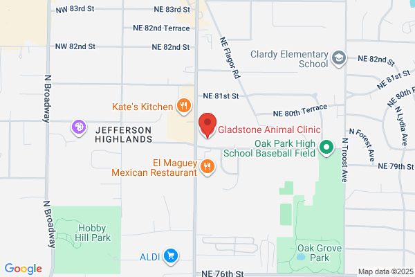 Gladstone Animal Clinic