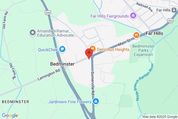 Bedminster Pizza