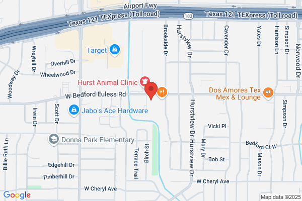 Dental Direction Services Llc